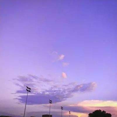 巴博体育官网安卓下载